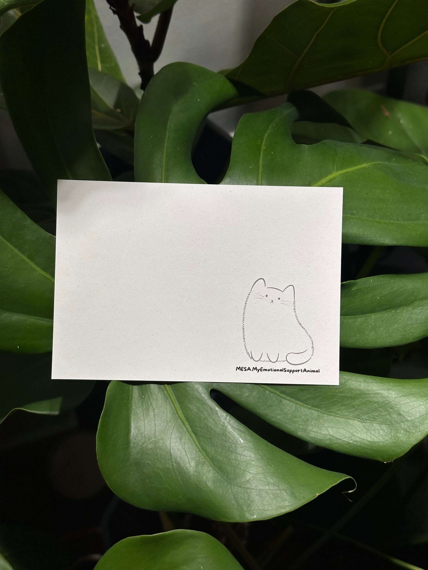 “I am so proud of you” Trophy Cat Celebration Card