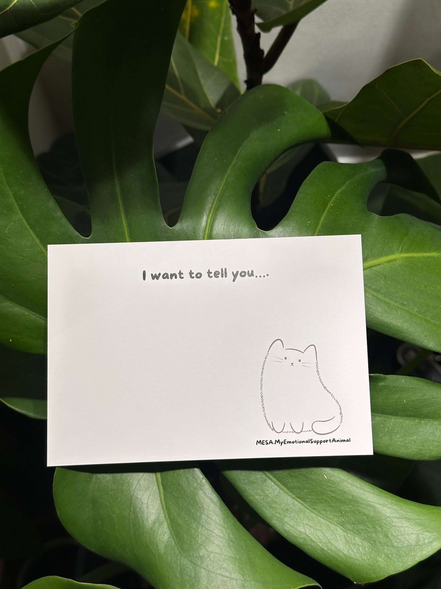 Cute cat art card with a sketch of an adorable cat and the words "I want to tell you..." set against lush green leaves.