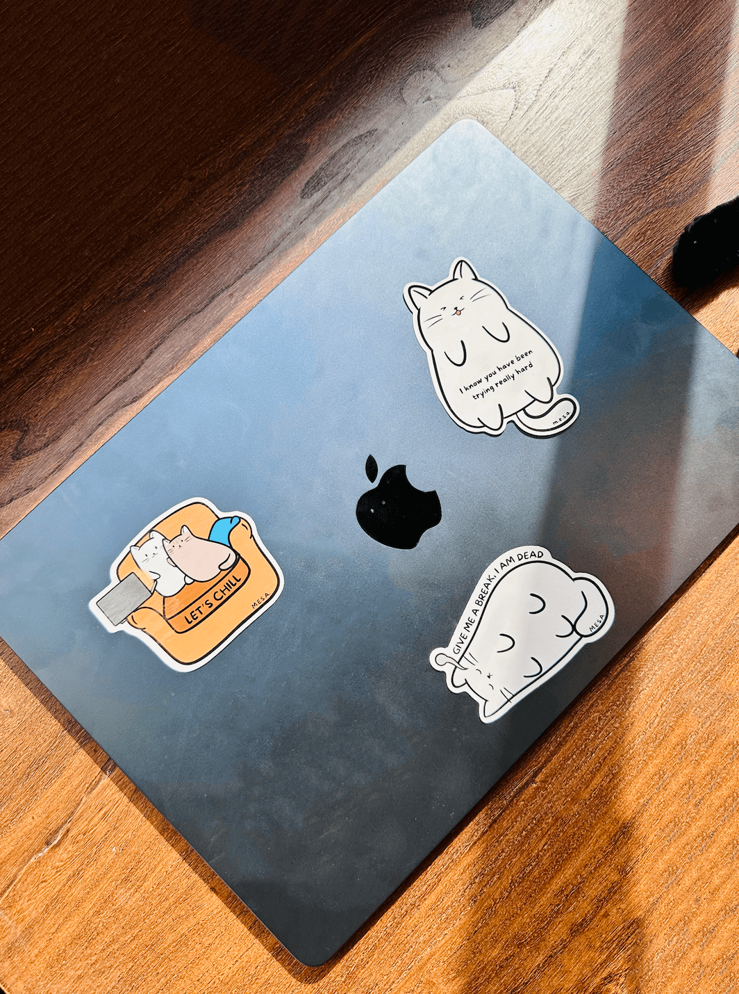 Comfortable Cat Sticker Cozy Cat Waterproof Sticker Pack - 3 Cute Designs ...